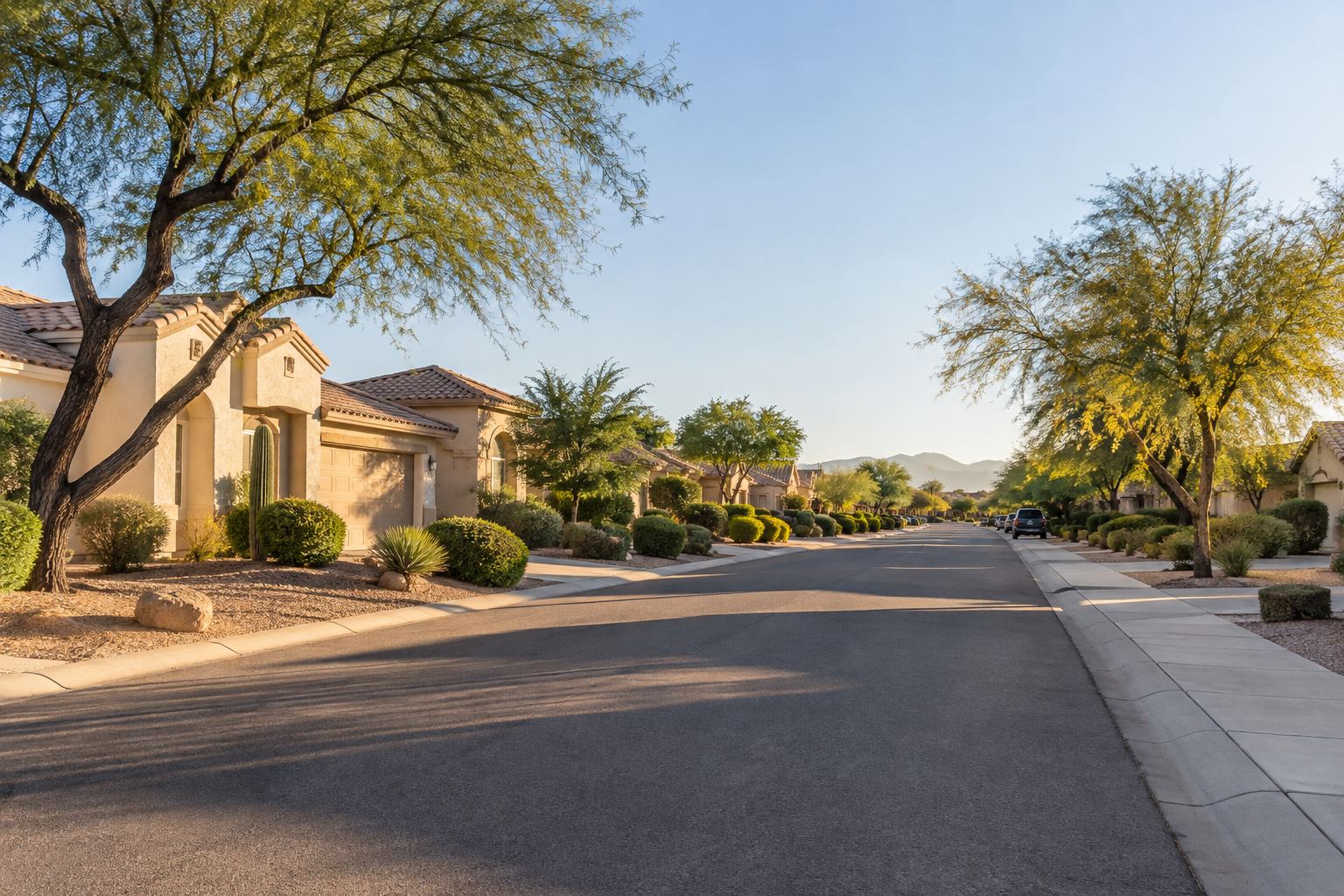 A tree lined Phoenix Arizona street, illustrative